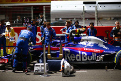 Toro Rosso engineers on the grid with the car of Pierre Gasly, Toro Rosso STR13