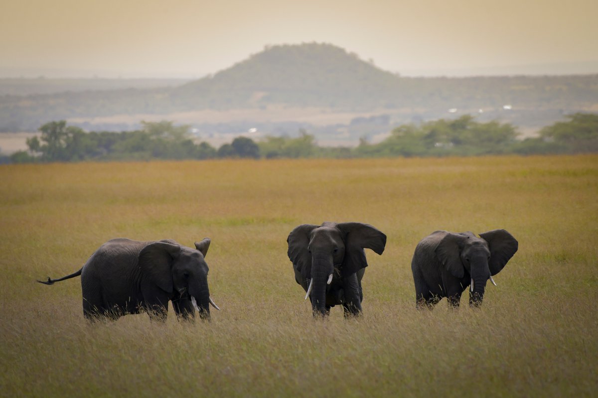Atmosphere in Kenya