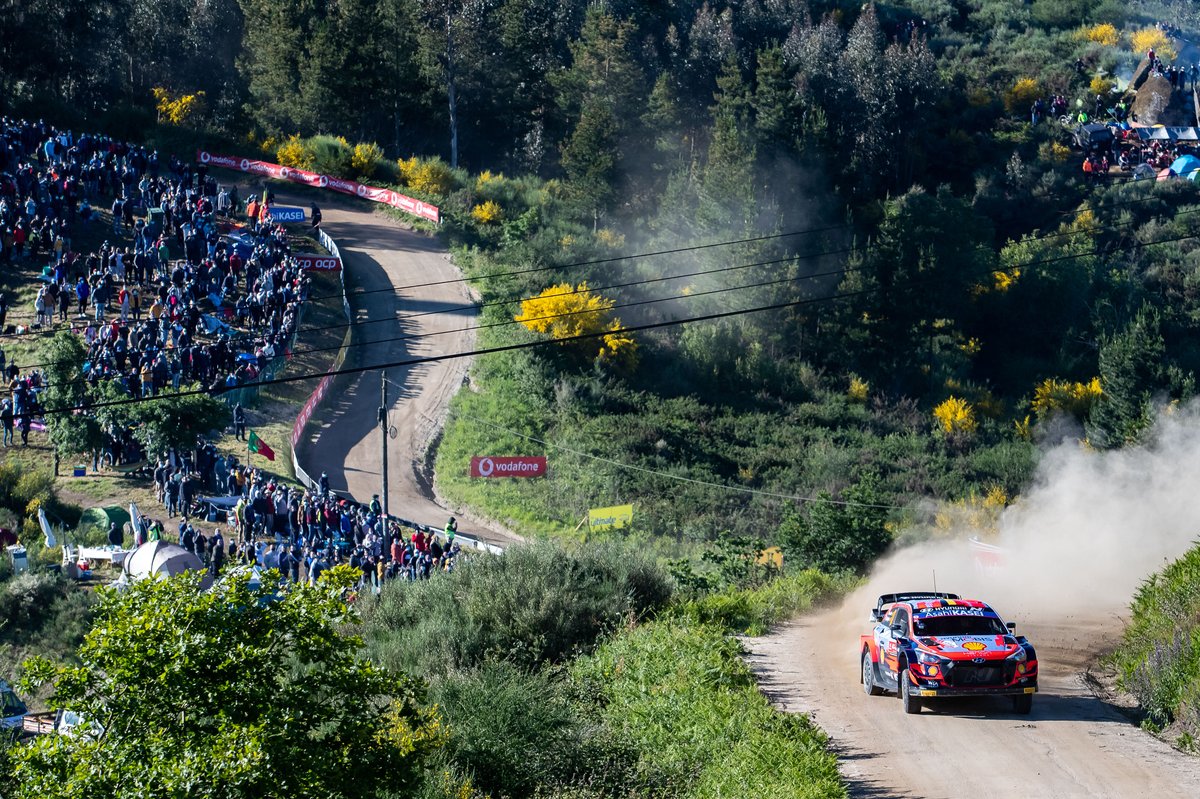 Thierry Neuville, Martijn Wydaeghe, Hyundai Motorsport Hyundai i20 Coupe WRC