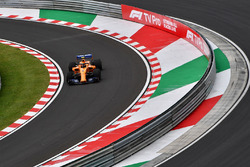 Stoffel Vandoorne, McLaren MCL33