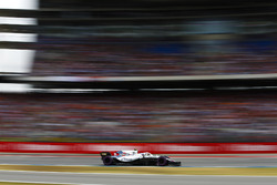 Sergey Sirotkin, Williams FW41