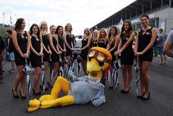 Grid girls