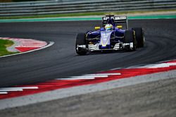 Marcus Ericsson, Sauber C35