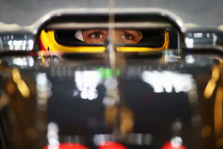 Fernando Alonso, McLaren MP4-31