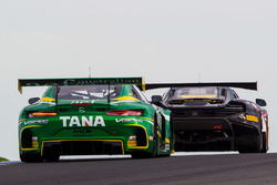 #8 Mercedes AMG GT3: Max Twigg, Tony D'Alberto