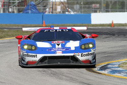 #67 Ford Performance Chip Ganassi Racing Ford GT: Ryan Briscoe, Richard Westbrook, Scott Dixon
