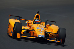 Fernando Alonso, Andretti Autosport, Honda