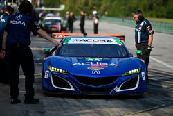 #93 Michael Shank Racing Acura NSX: Andy Lally, Katherine Legge