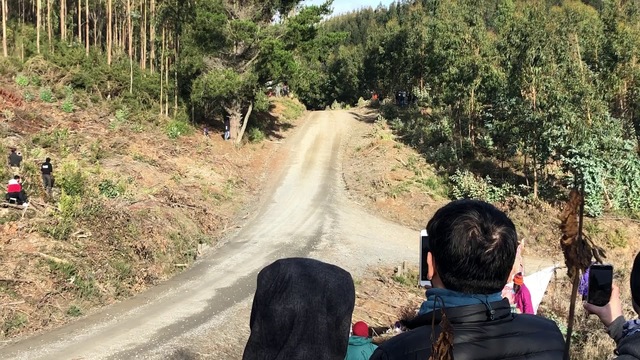 Accidente de <b>Thierry Neuville</b> Rally de Chile 2019 - WRC Videos
