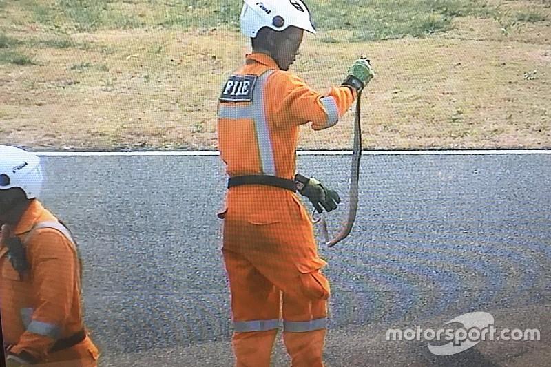 Во время тестов MotoGP в Таиланде на трассу выползла змея