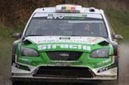 Pech zielonych Focus&oacute;w