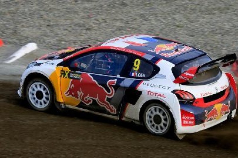 Loeb w deszczu