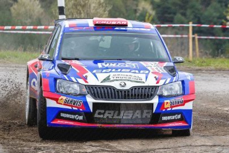 Grzyb walczy z WRC