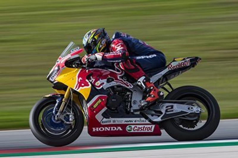 Camier tuż za Reą