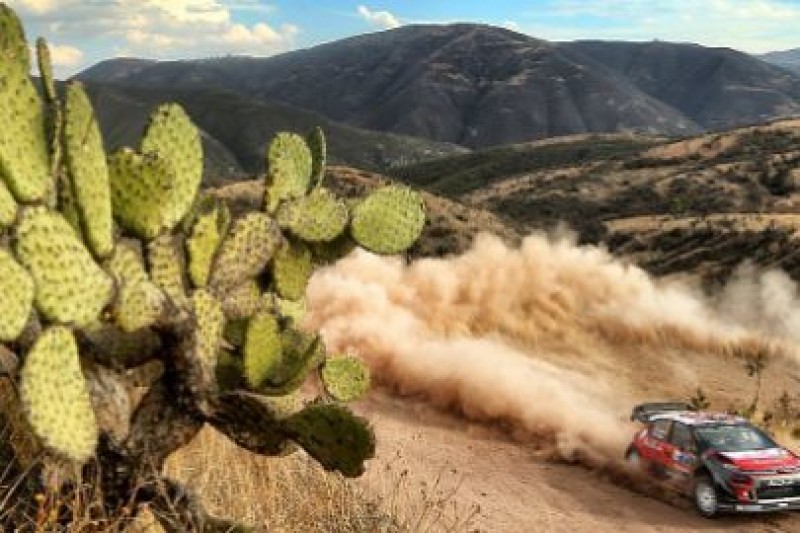 Meeke, Neuville, Ogier