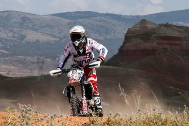 Mówią przed Atacama Rally