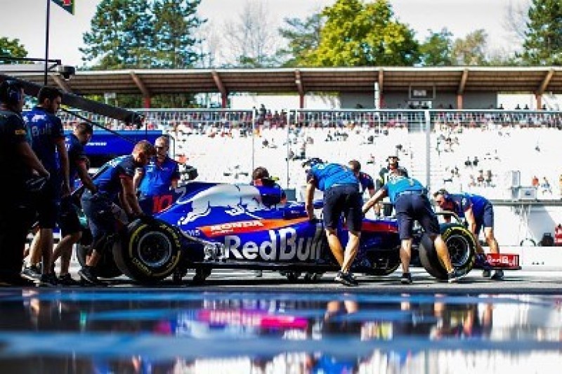 Toro Rosso nie realizuje swoich celów