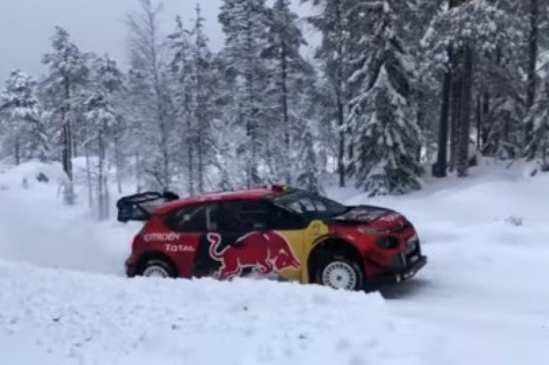 Drugi dzień dla Lappiego