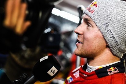 Lappi lubi norweskie oesy