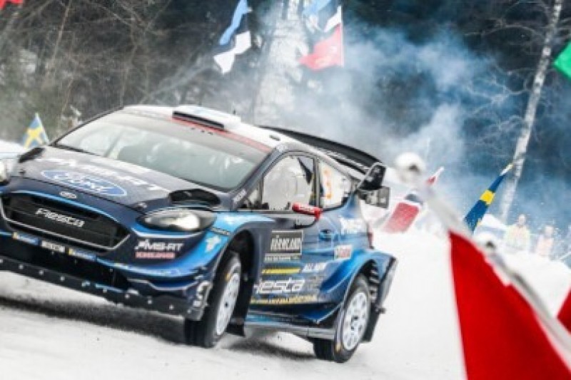 Suninen w zaspie