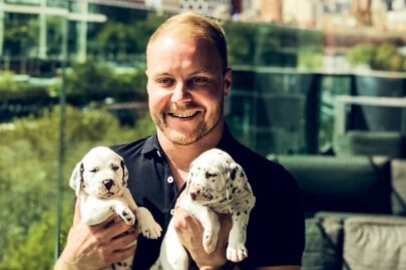 Bottas: Będziemy gonić