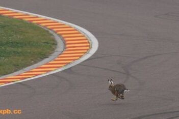 Europees Parlement wil 'groenere' F1