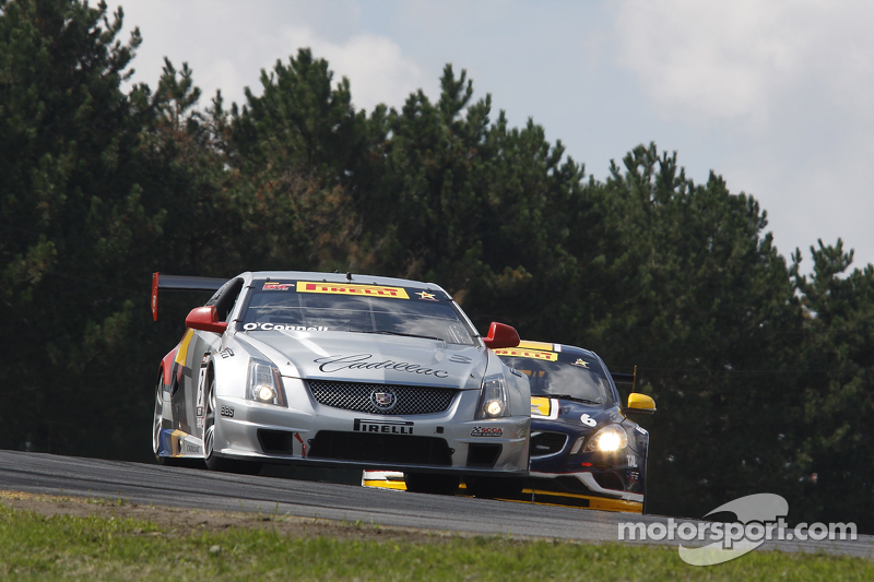 Points leaders O'Connell, Baldwin take GT/GTS poles at Sonoma