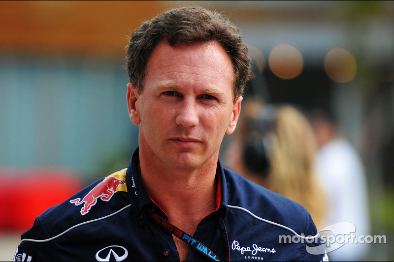 Fan apologised for Vettel booing - Horner