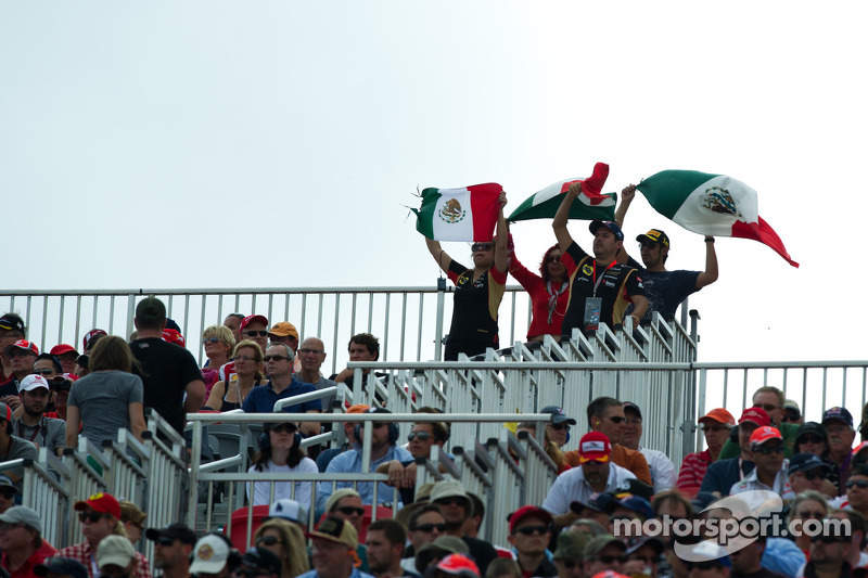 McLaren removes Mexican marijuana flags