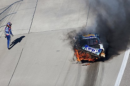 Top 10 photos of the week: 2014-11-05
