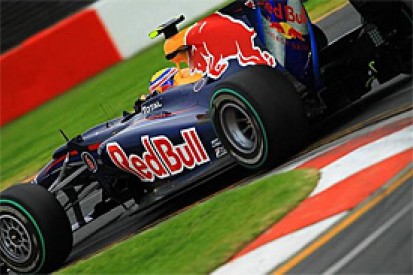 Webber says he went down fighting