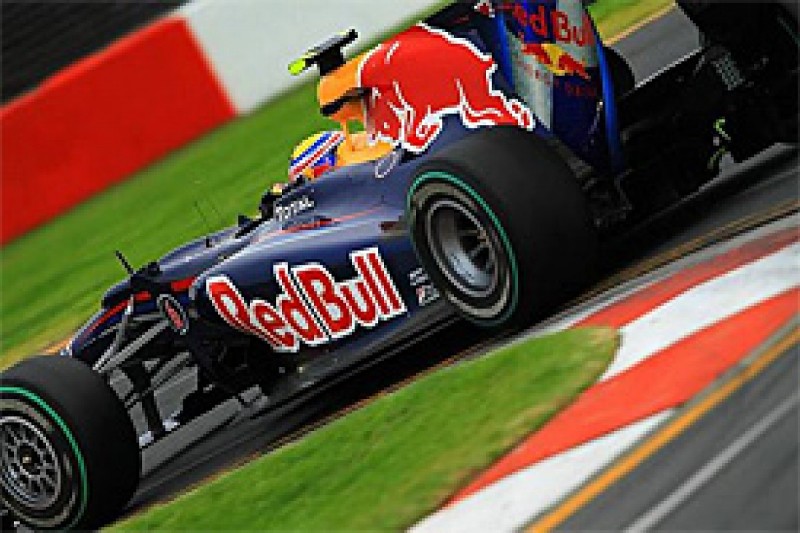 Webber says he went down fighting