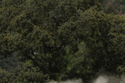 WRC Portugal: Dani Sordo crashes out of lead fight with Sebastien Ogier