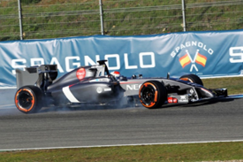 Adrian Sutil's Sauber crash in Jerez F1 test due to driver error