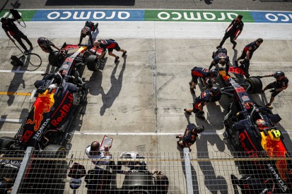 "No-Bull"-Projekt: Red Bull will noch 2020 klimaneutral werden