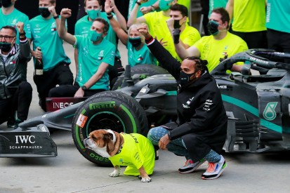 Hamilton and Schumacher share "God given talent" - Brawn