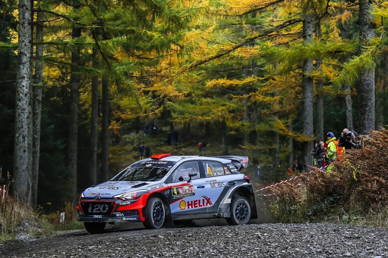 Tree disease forces further route change for 2017 Rally GB