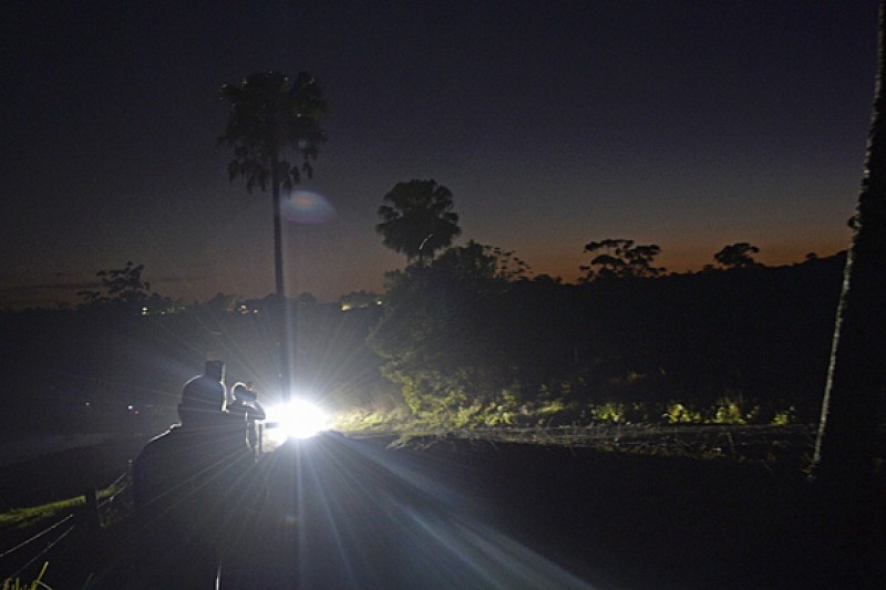 Rally Australia: WRC drivers slam night stage safety