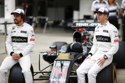 'Wrong' for McLaren F1 rookie Vandoorne to only focus on Alonso