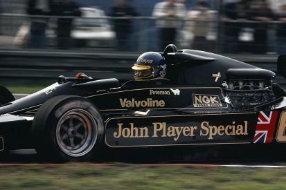 Ronnie Peterson's greatest drives