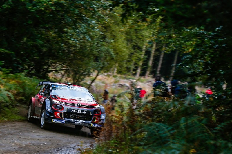 Worsening tree disease threatening Rally GB's WRC route plans