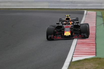Max Verstappen didn't enjoy 'one lap' of Japanese GP practice