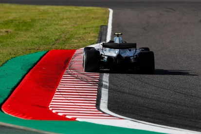 Tyre fears leaving Formula 1 drivers 'completely cruising' - Bottas