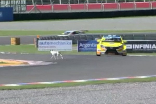 Un cane in pista spaventa tutti nelle Libere 2
