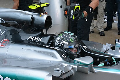 Mercedes: ci sono due orecchie sul cofano motore