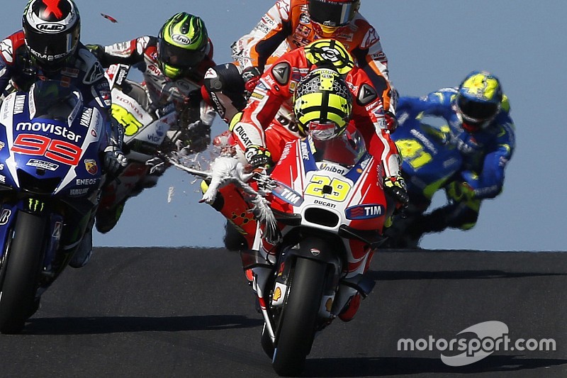 Iannone lembra de gaivota atropelada em capacete