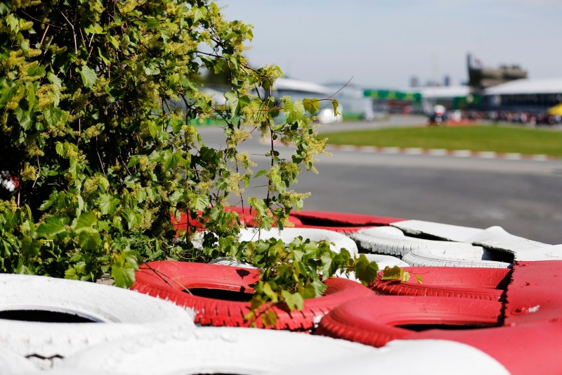 Für das Weltklima: FIA verordnet Formel 1 "Baum-Prämie" für jeden WM-Punkt