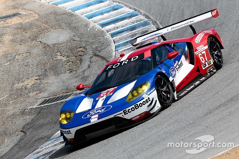 #67 Ford Performance Chip Ganassi Racing Ford GT: Ryan Briscoe, Richard Westbrook