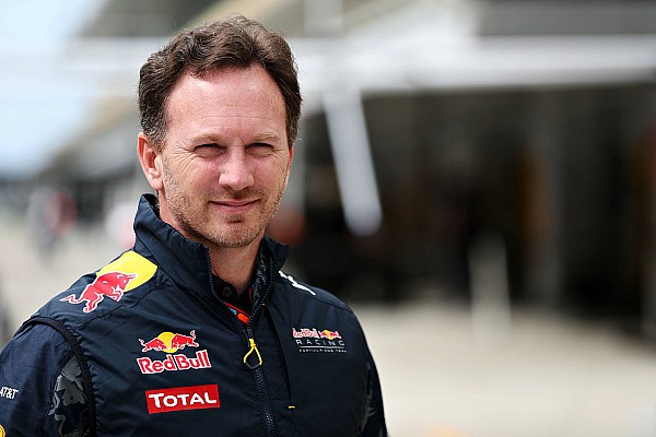 Horner: “La llegada de Max cierra el mercado de Red Bull”