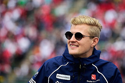Ericsson crê que "mais provável" é seguir na Sauber em 2017